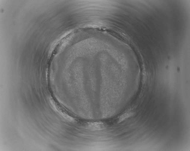 X0000051890446200507151943