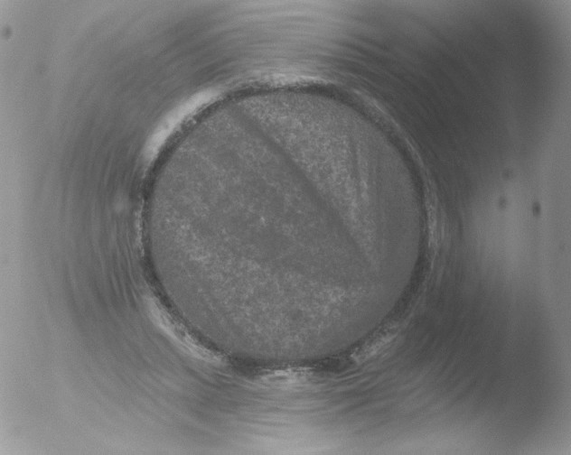 X0000051890447200507151943