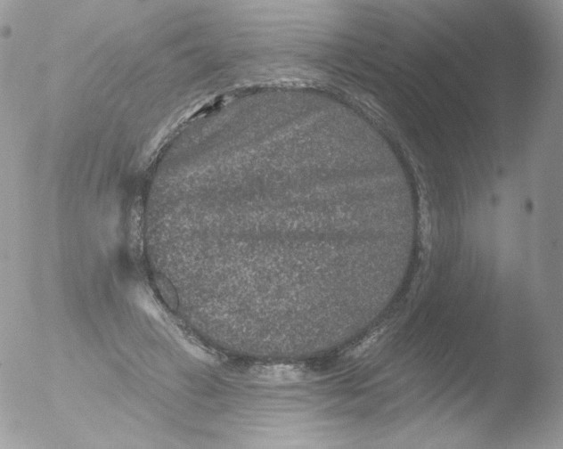 X0000051890449200507151943