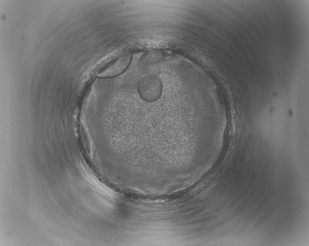 X0000051890450200507151943