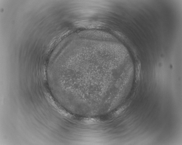 X0000051890453200507151943