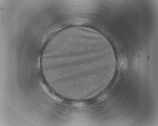 X0000051890454200507151943