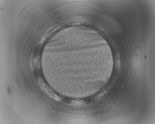 X0000051890455200507151943