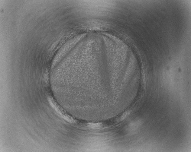 X0000051890457200507151943