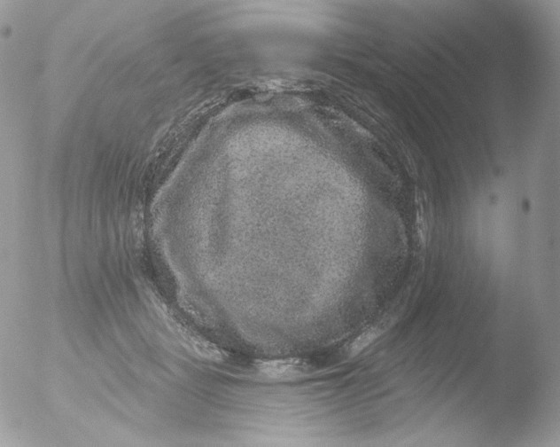 X0000051890461200507151943