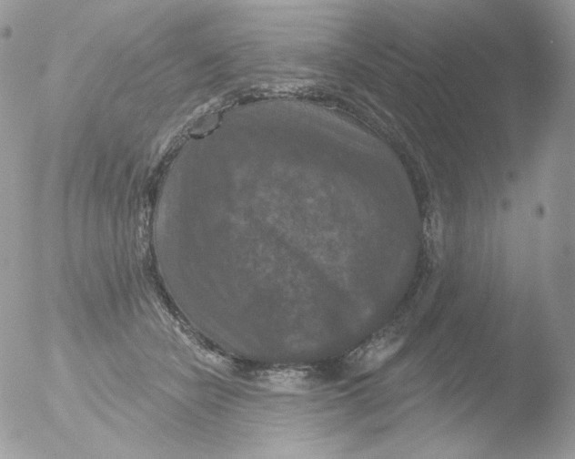 X0000051890462200507151943