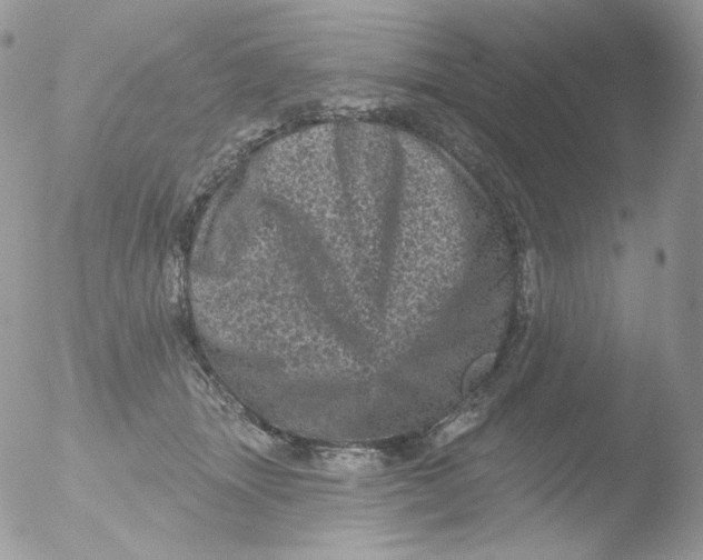 X0000051890463200507151943