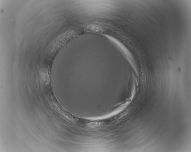 X0000051890465200507151943