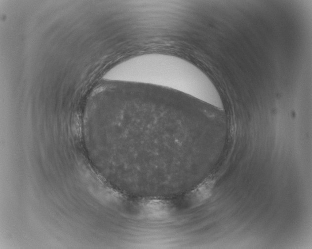 X0000051890467200507151943