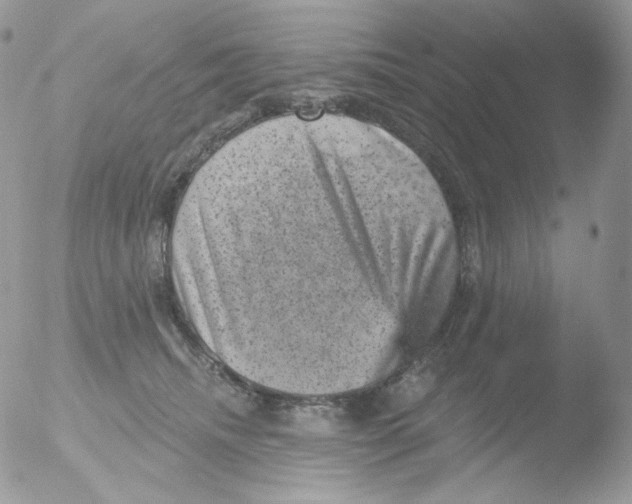 X0000051890468200507151943