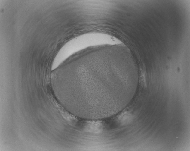 X0000051890469200507151943