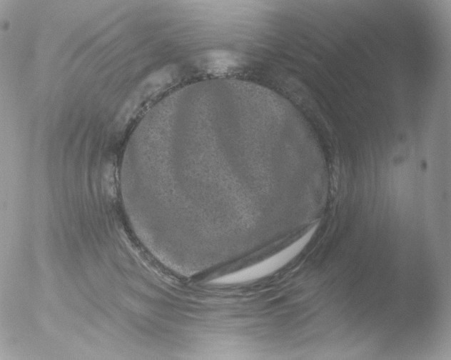 X0000051890470200507151943