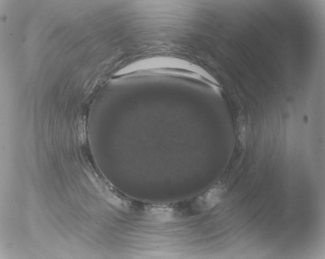 X0000051890471200507151943