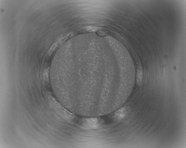 X0000051890473200507151943