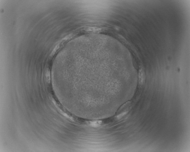 X0000051890474200507151943