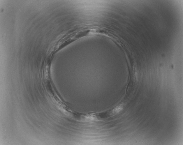 X0000051890475200507151943