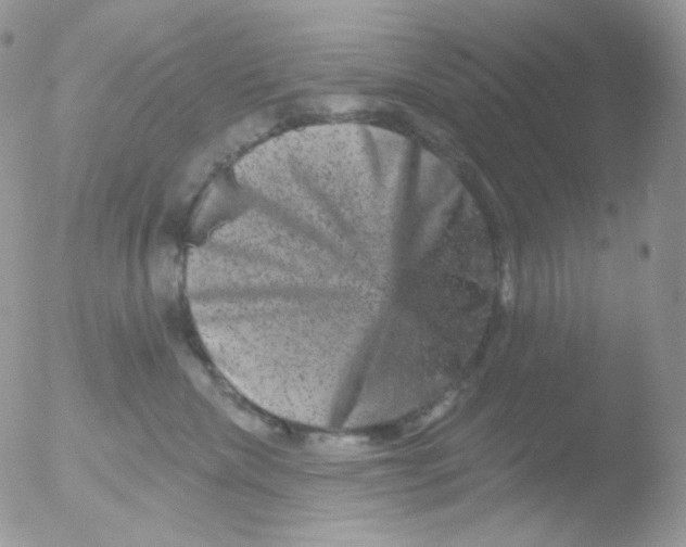 X0000051890476200507151943