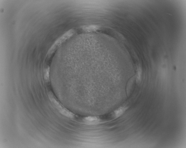 X0000051890477200507151943