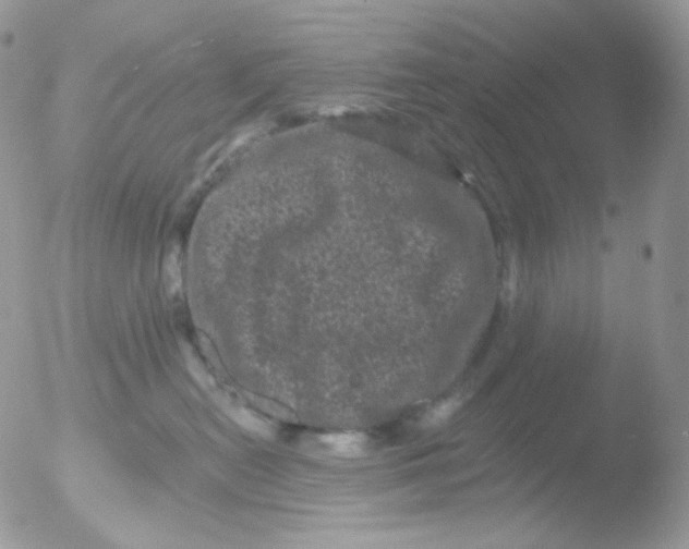 X0000051890478200507151943