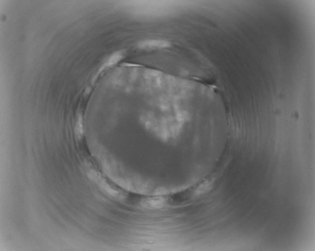 X0000051890479200507151943