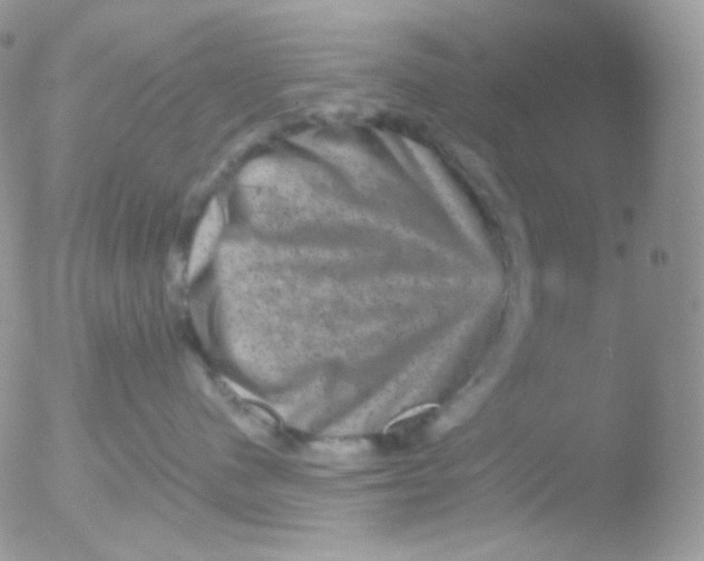 X0000051890480200507151943