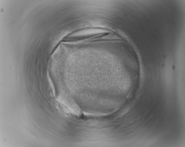 X0000051890481200507151943