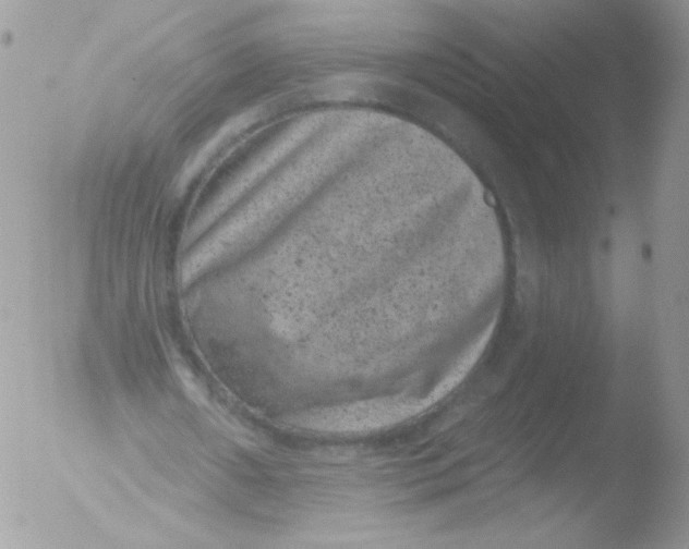 X0000051890482200507151943