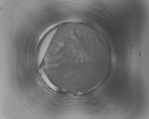 X0000051890484200507151943