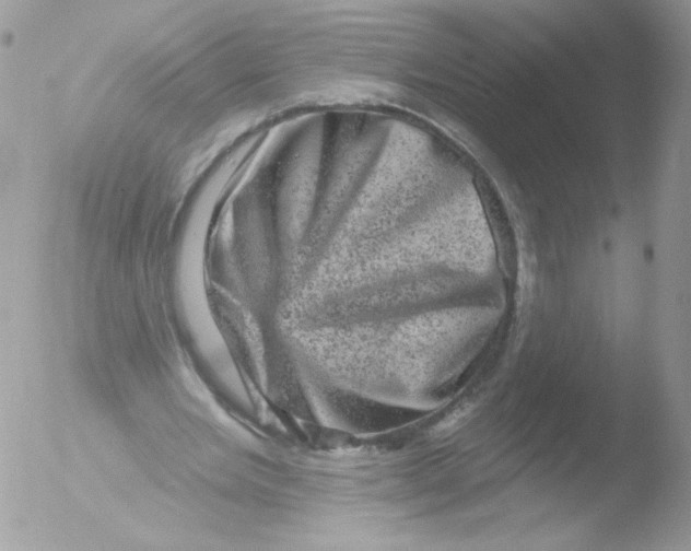 X0000051890485200507151942