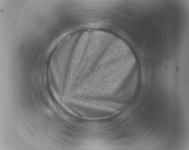 X0000051890486200507151942