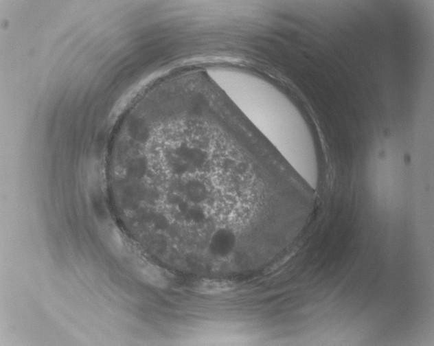 X0000051890487200507151942