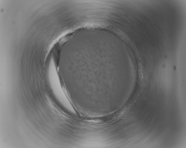 X0000051890488200507151942