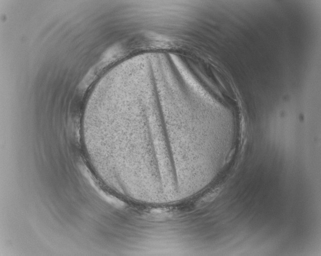 X0000051890489200507151942