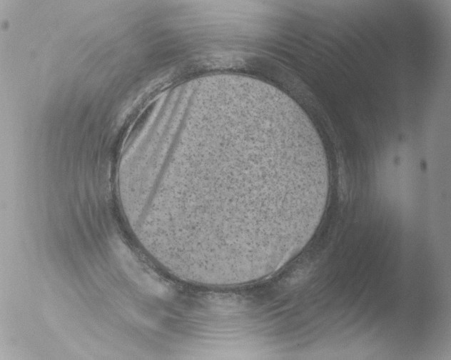 X0000051890490200507151942