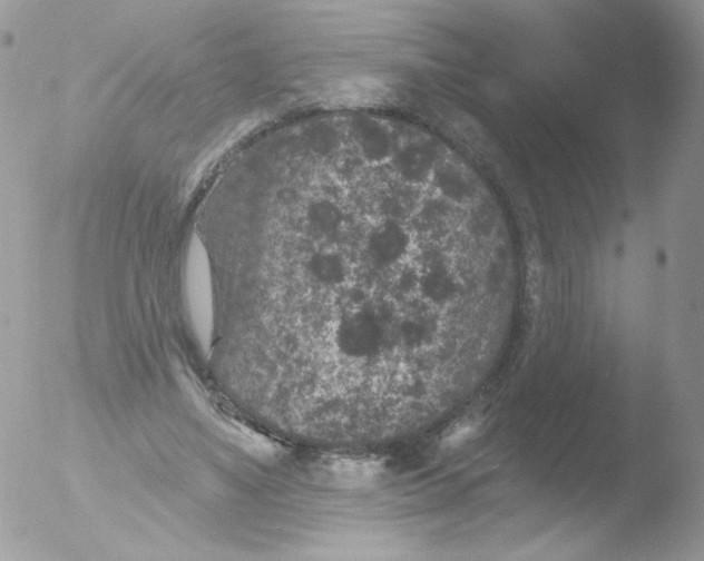 X0000051890491200507151942