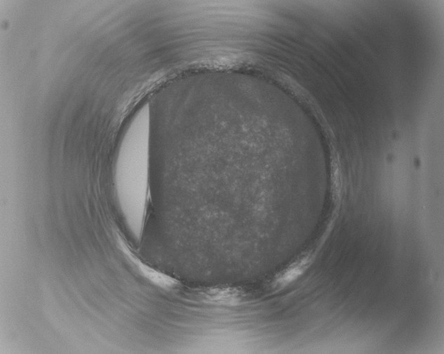 X0000051890493200507151942