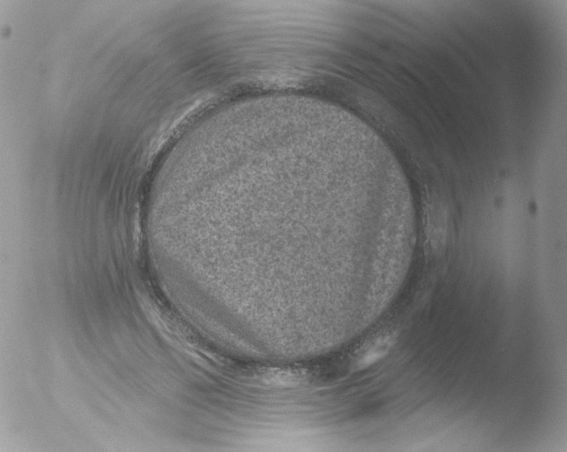 X0000051890494200507151942