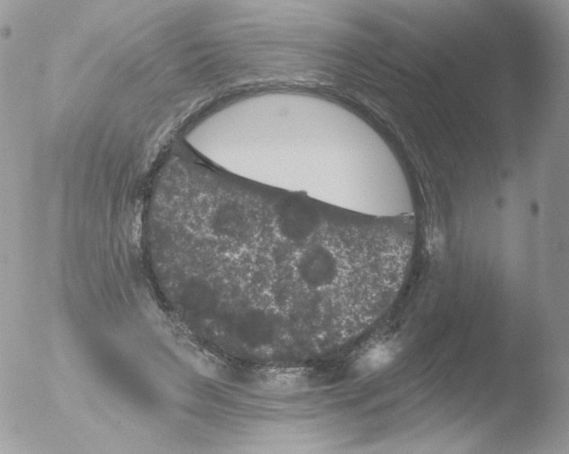 X0000051890495200507151942