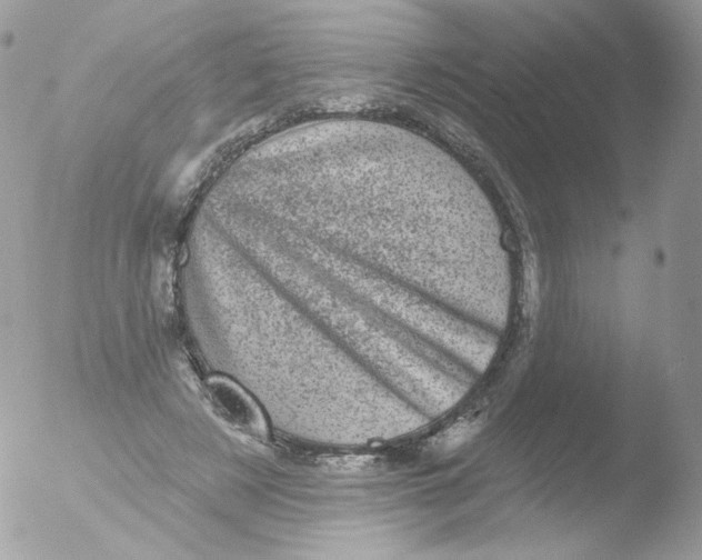 X0000051890497200507151942