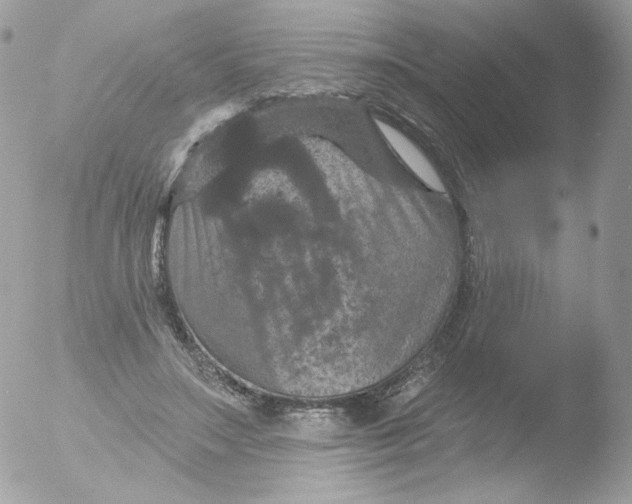 X0000051890499200507151942