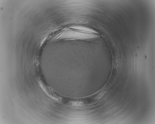 X0000051890500200507151942