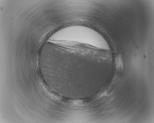 X0000051890501200507151942