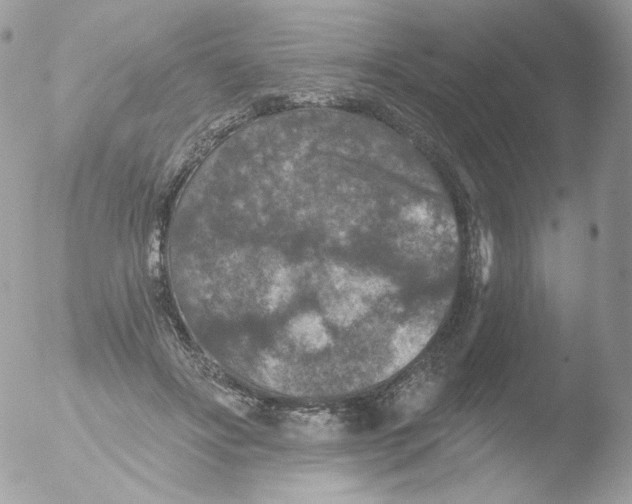 X0000051890502200507151942