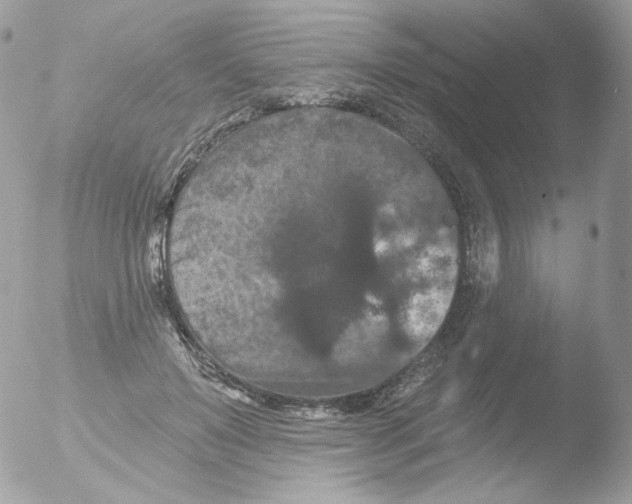 X0000051890503200507151942