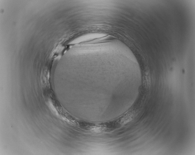 X0000051890504200507151942