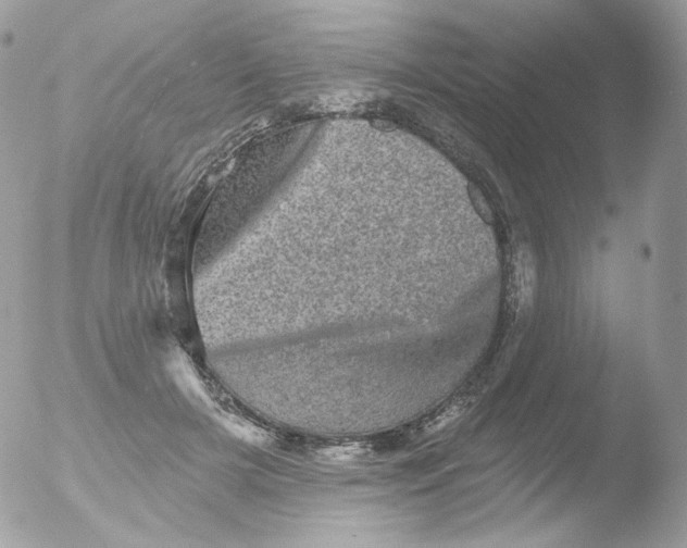 X0000051890505200507151942