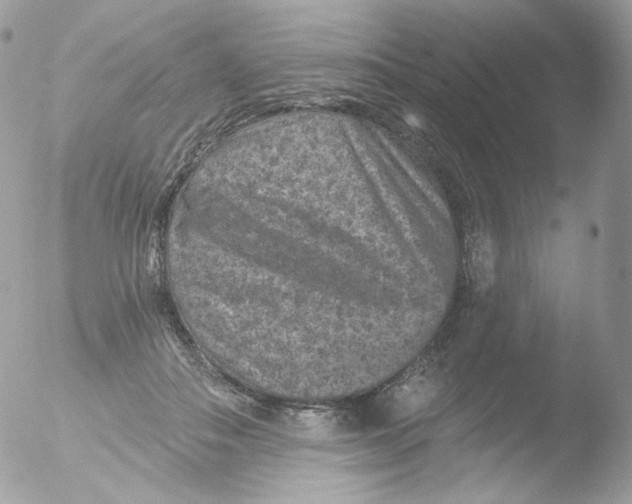 X0000051890506200507151942