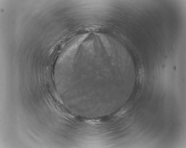 X0000051890508200507151942