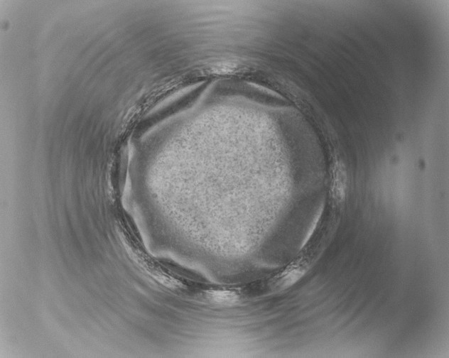 X0000051890509200507151942