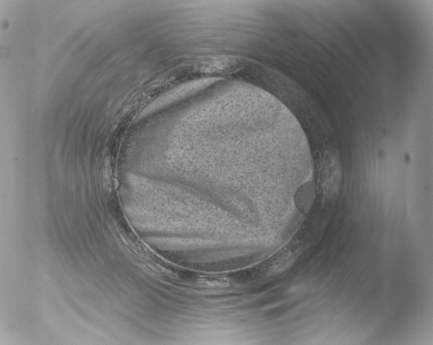 X0000051890510200507151942